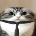 zem1us