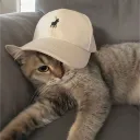 naytozzv2
