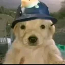 freddy2213 avatar