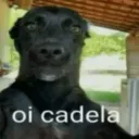 imcapitao09