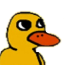 _madrix_