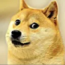 TheDoge