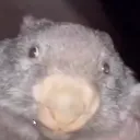 zamerg