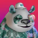 pandapo6558