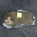 Mr_ButterKatze