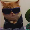 koxos