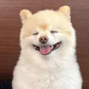 _rohit200