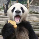 leonnhz