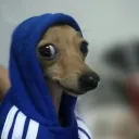 semnome.1