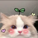 _fiya_