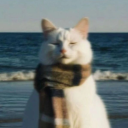 avatar init.os(oksi);