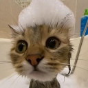 avatar Lee ૮₍´˶• . • ⑅ ₎ა