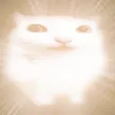 abd_fro