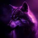 dwolf_19