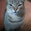 thundersomad
