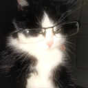 avatar !.      Nashpati