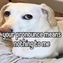 itmaybemeidk