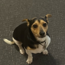 avatar 𝕬𝖒𝖆𝖗𝖓𝖎♡