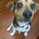 avatar 𝕬𝖒𝖆𝖗𝖓𝖎♡