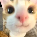 senpailuffy27 avatar