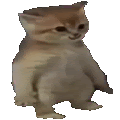 avatar terox
