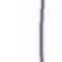 avatar lotsofloys™