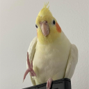 .hakerboi