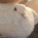 eetmndikkedoeffoe