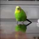 4ertil0