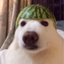 prunes22 avatar