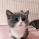 avatar evilspaace