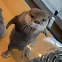 monke07_ avatar