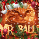 avatar 🎄FeralJollyCrow🎄