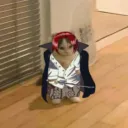 d3nzerr