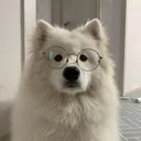 nnewql_