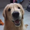 fotoyoue