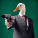 whattheduckbruh