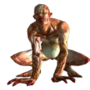 anactualdisctrog1yes