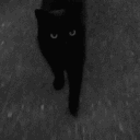 blurrxc