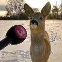 ryzcnn