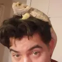 Rookie新人's Avatar