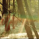 deltalikesrocks