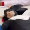 animegod0830