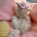 avatar Ari ♡
