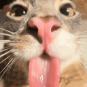 feral._d