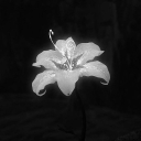 avatar я_замужем