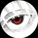 project_scope
