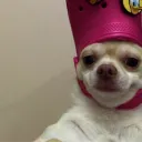 pat_26