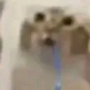 furiousg8mer