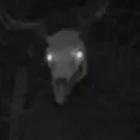Cyanfann avatar